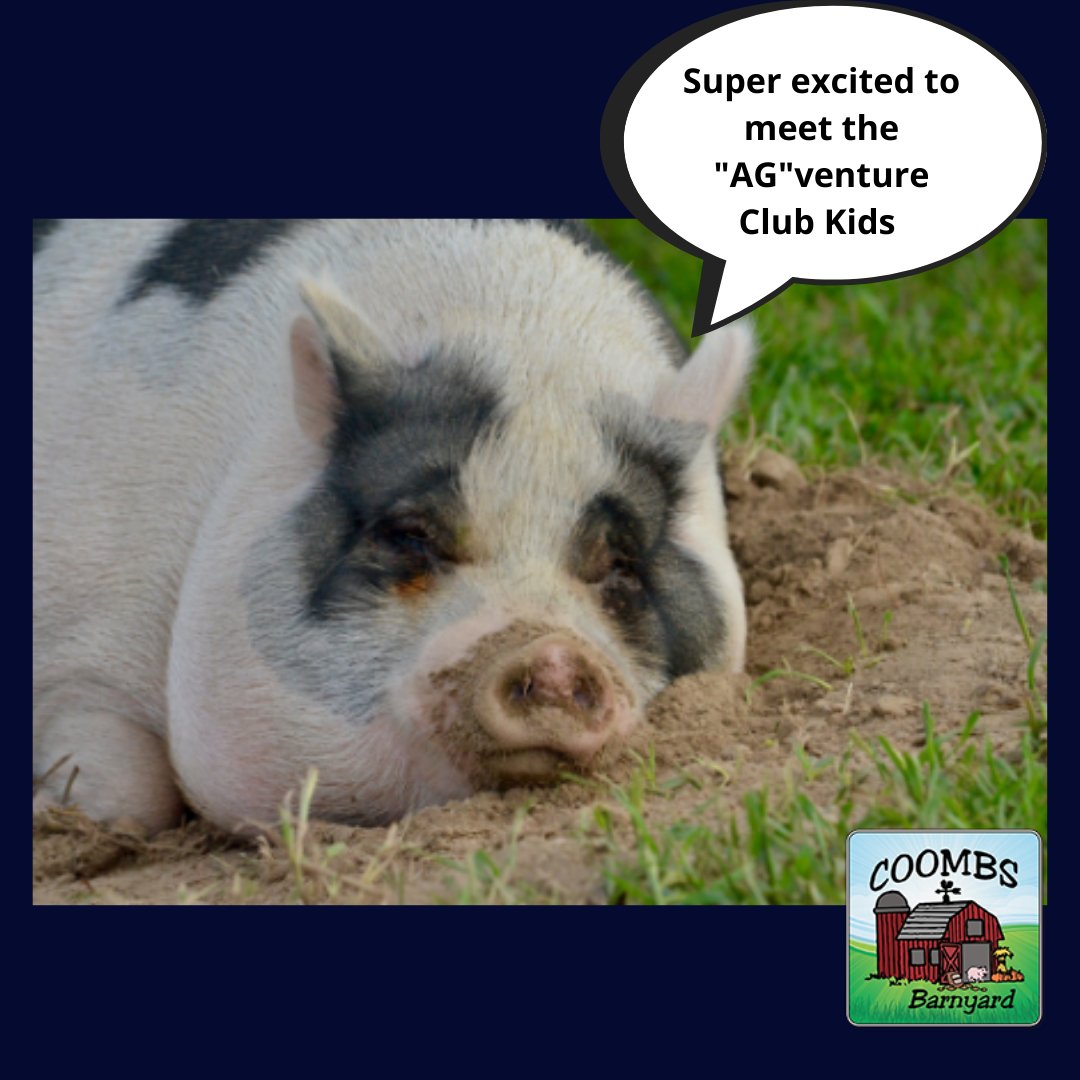 Happy Farmer Friday! @coombsbarnyard NJ Farm to School can’t wait to see pics when the “AG”venture club kids visit your farm and clean the pens!