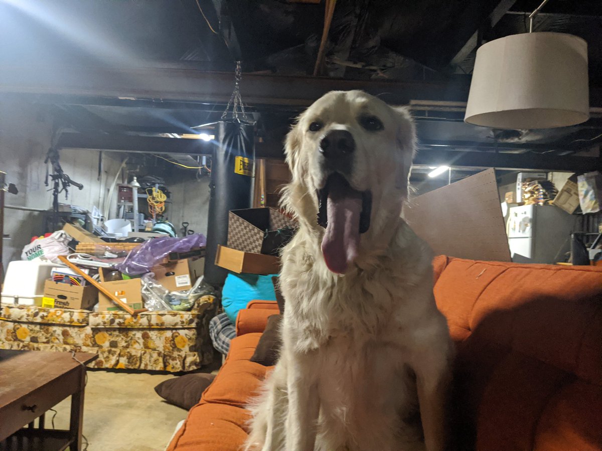cosmicgumbo741's tweet photo. @GME_Maxi Kicking it in the basement during a tornado warning a couple weeks ago https://t.co/vYDEgBiFjO
