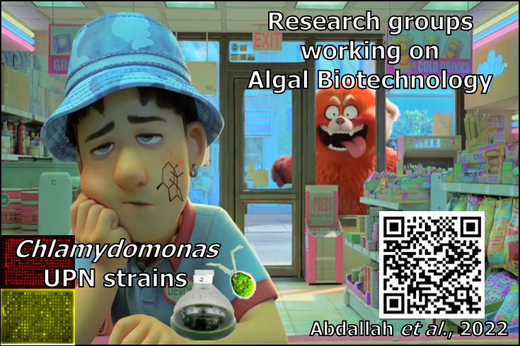 tk_ozawa's tweet photo. Great work by @Malakabd93 et al. (2022) about the development of #patchoulol-producing #Chlamydomonas UPN strains that can grow in #phosphite- and #nitrate-containing media in order to enable high cell density #algal cultivation in non-sterile conditions π¦ .
#Algae #Terpenoids https://t.co/7QU167hJ6z