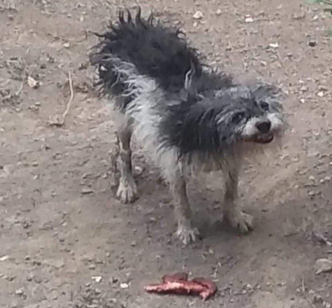 soyvanellopee's tweet photo. Cuando el mesero se acerca a levantar mi plato y todavía no he terminado. https://t.co/2c6KIaAJHN