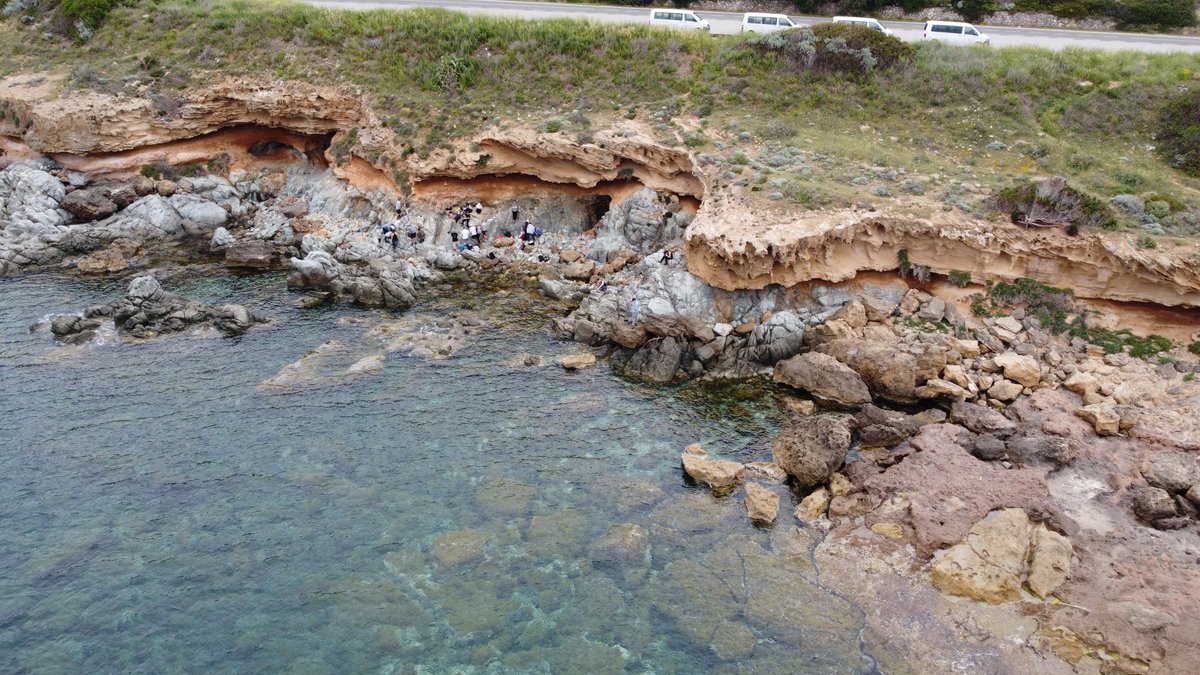 ISTE_UNIL's tweet photo. 1⃣ 1st day on the field, with the observation of calco-alcaline rocks (subduction zone related). (1) Qtz-bearing diorite covered by sandstones; (2) Ignimbrite, volcanic breccia containing fragments, produced by explosive volcanic eruptions 🌋 and (3) Andesite flow (hydrous magma) https://t.co/THEMSQ2yyX