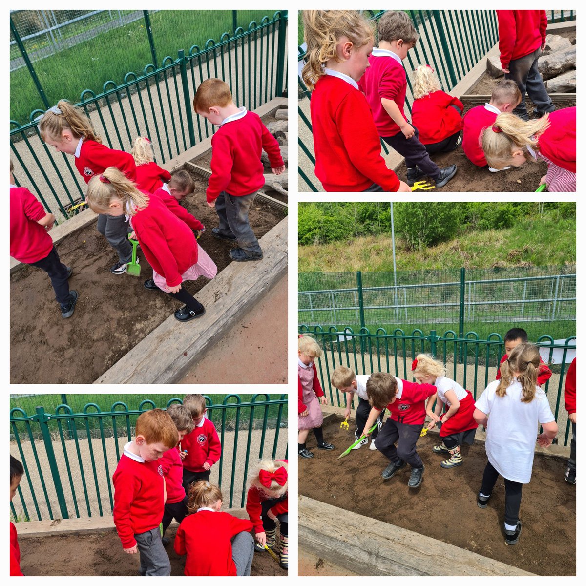 IDS year 7 tweet media