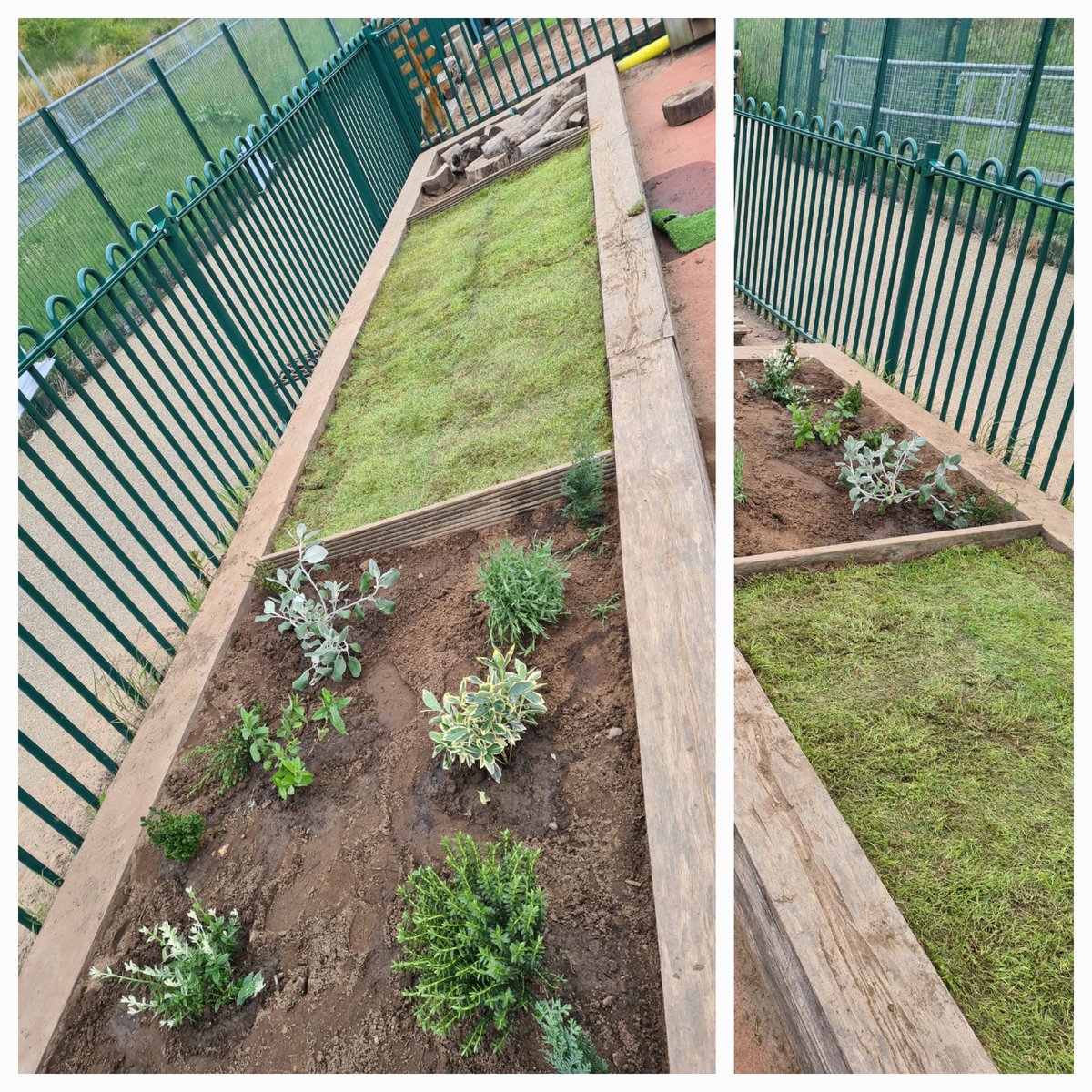 IDS year 7 tweet media