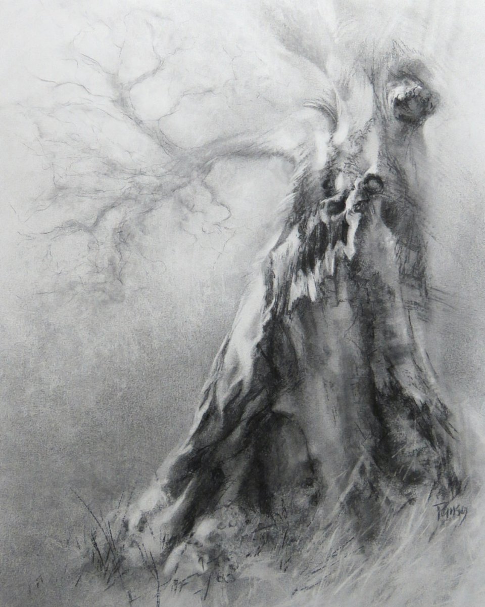 Tansy Lee Moir tweet media