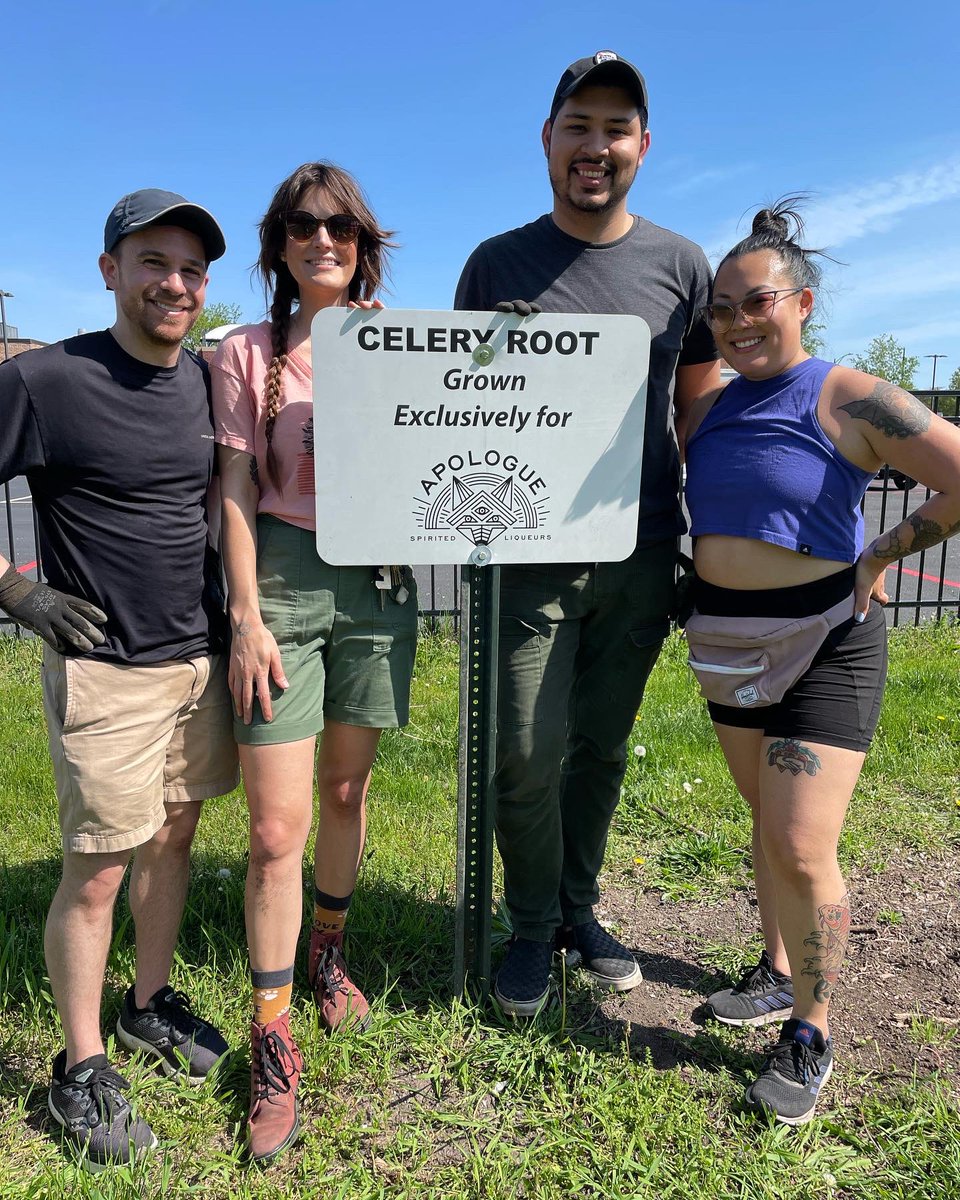 UrbanAutismSol's tweet photo. Our friends at @apologueliqueurs came out to #GrowingSolutionsFarm today to plant some #celeryroot. Apologue uses celery root grown on the farm for their Celery Root Liqueur. Great in #bloodymarys Thank you for helping out!! #volunteer #urbanfarm #weeding #urbanautismsolutions https://t.co/oDpIT7pANp
