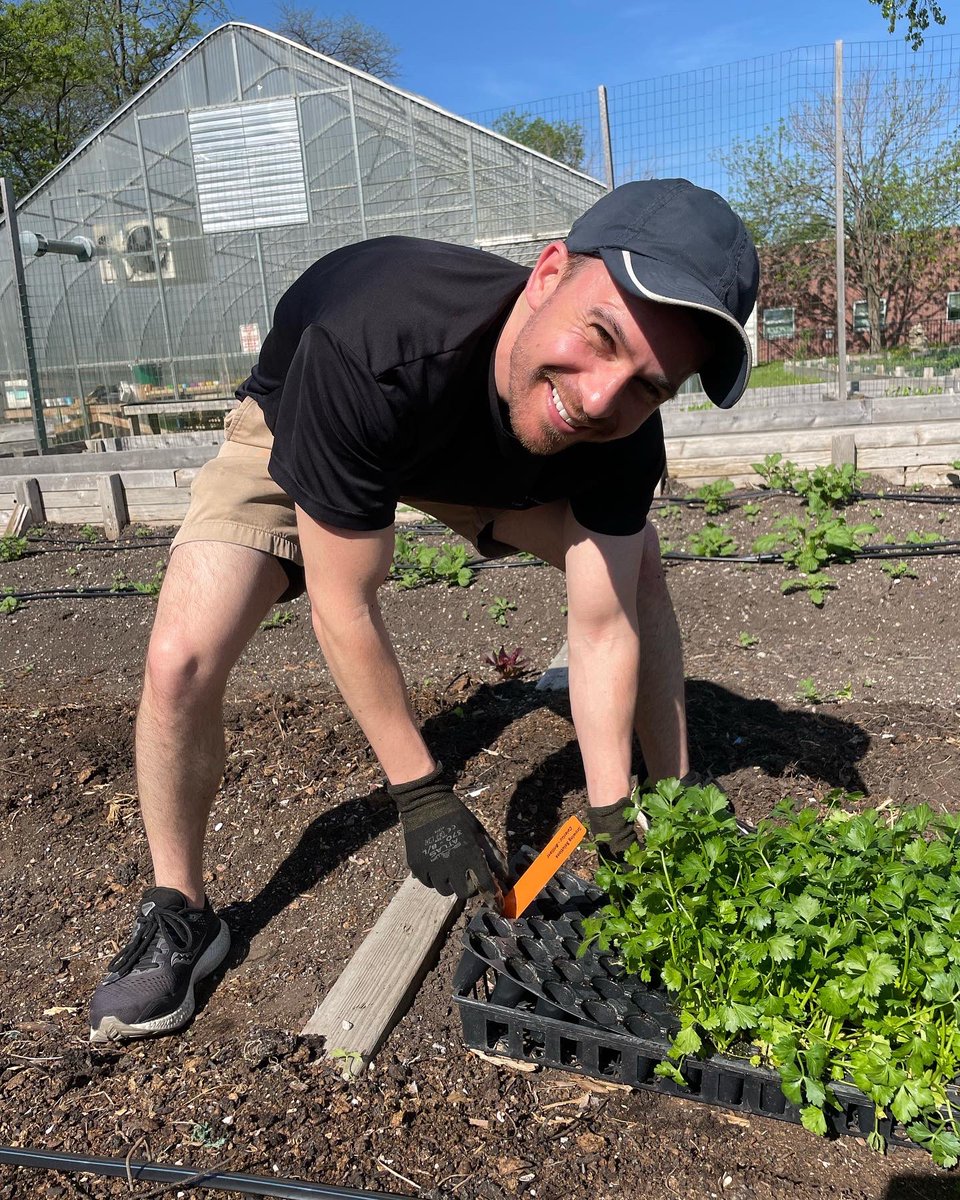 UrbanAutismSol's tweet photo. Our friends at @apologueliqueurs came out to #GrowingSolutionsFarm today to plant some #celeryroot. Apologue uses celery root grown on the farm for their Celery Root Liqueur. Great in #bloodymarys Thank you for helping out!! #volunteer #urbanfarm #weeding #urbanautismsolutions https://t.co/oDpIT7pANp