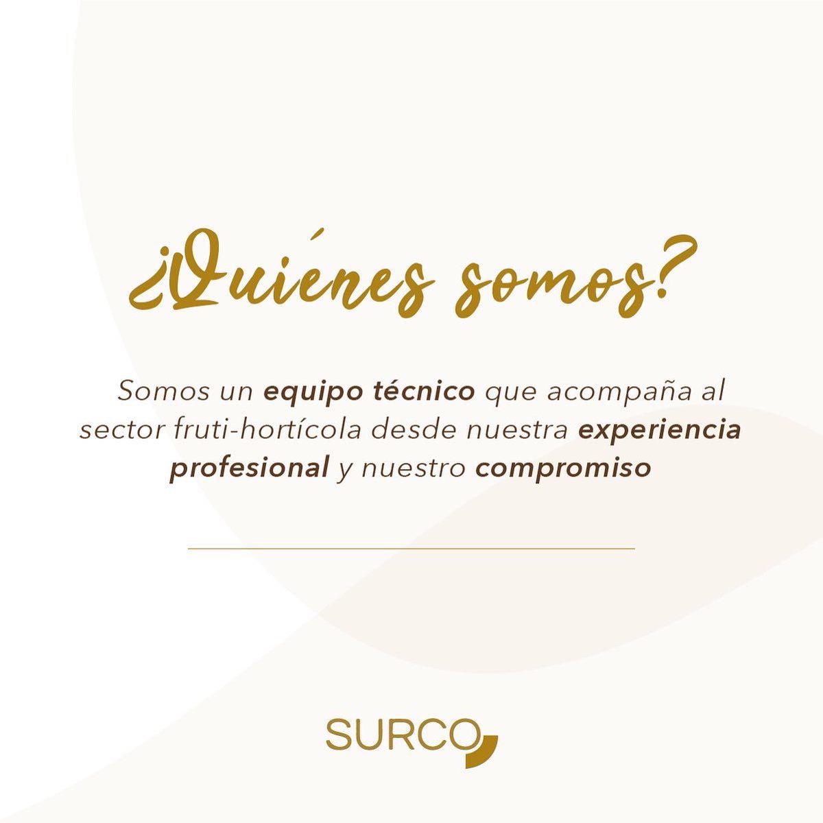 ArSurco's tweet photo. Algo de nosotros 👇 
Hace 1 año comenzamos:
Acompañar a @Alcaucileslp nos impulsó:
✔️Los productores están solos.  
✔️Necesitan vender su producción 
✔️La población debe saber ➕para consumir mejor 
✔️La ingesta #verduras y #frutas es ⬇️ para mantener la salud. 

#surco #campo https://t.co/Mf4nDA02Q9