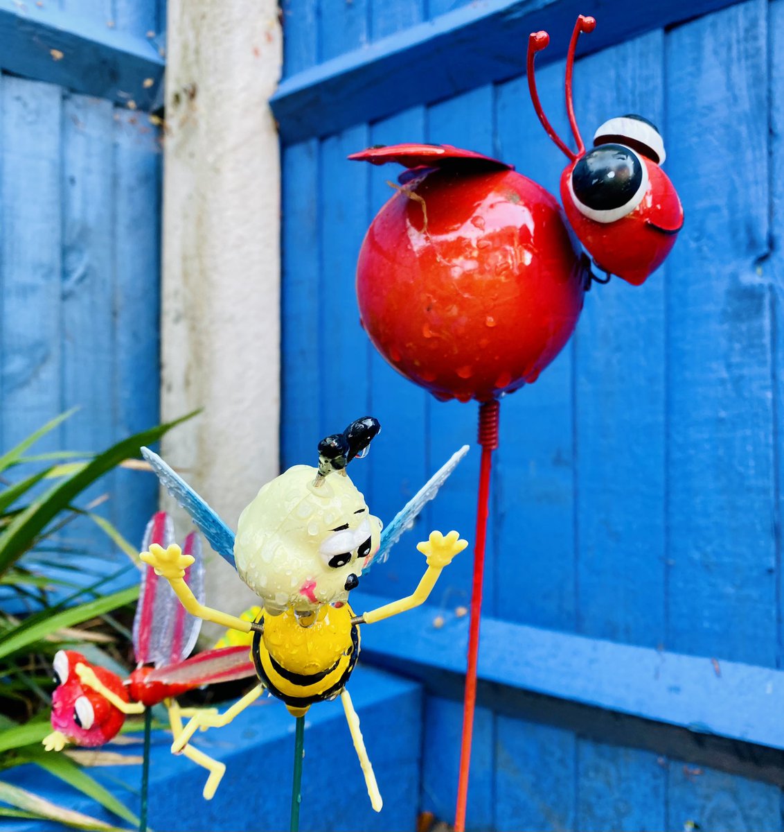 TheParaRiderMD's tweet image. Just want to thank one of my lovely @RDAnational colleagues Dawn who had bought two of our newest bees decorations for me earlier this week 🐝🪴💕

#GardenMakeover #GardenDecorations #Bees #Alvaston #Positivity #FridayAfternoon