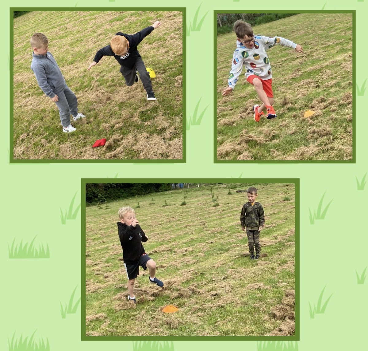 St David's RC Primary tweet media