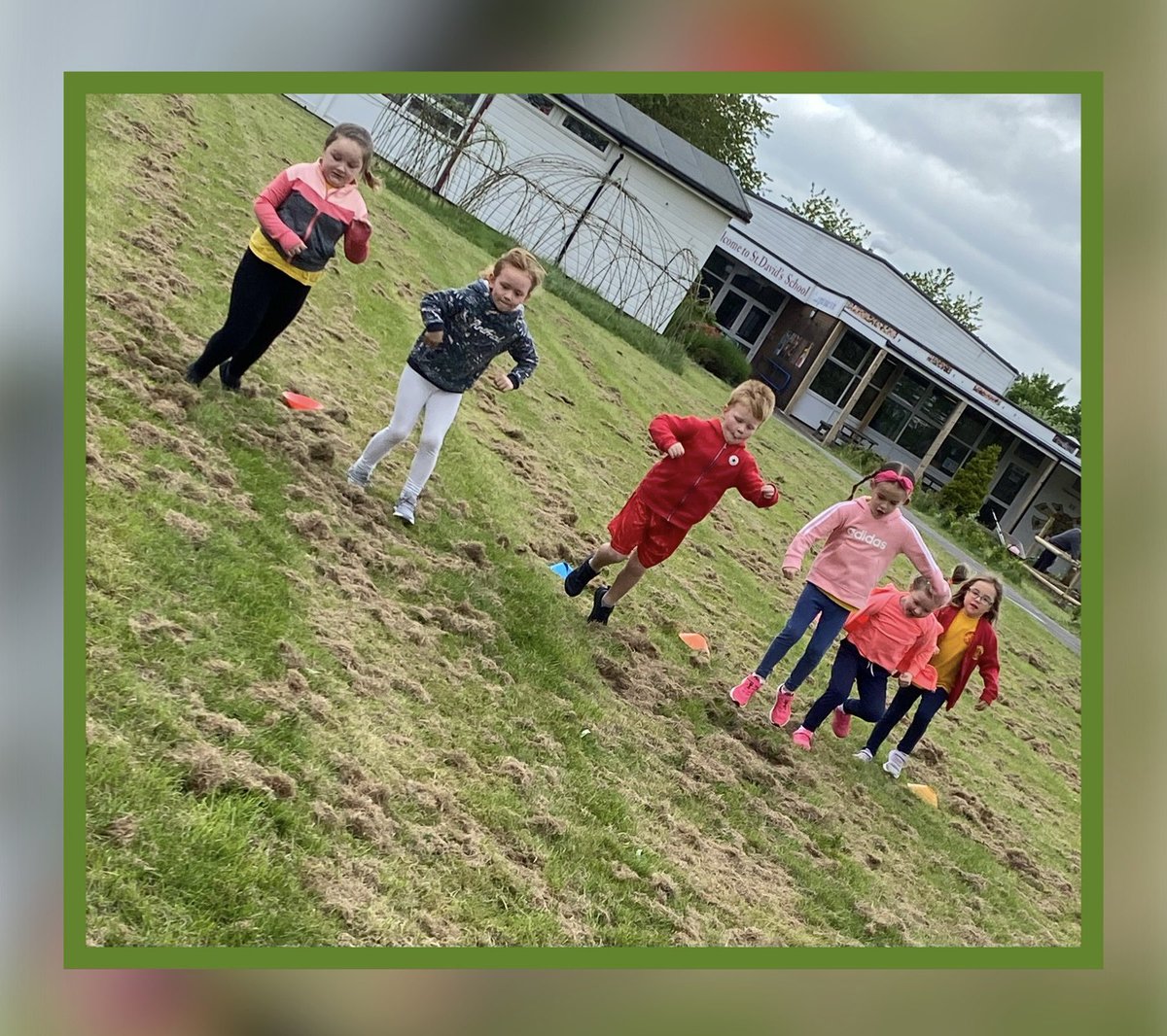 St David's RC Primary tweet media