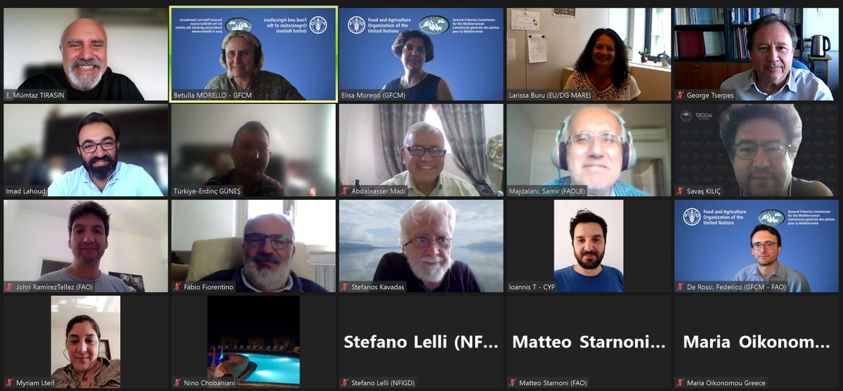 UN_FAO_GFCM's tweet photo. The4⃣-day #GFCM_SRC in the Eastern #Mediterranean is coming to an end❗️
What are the achievements❓
📌agreed on technical elements for deepwater red #shrimp fisheries in the Levant Sea
📌discussed #SSF & #RF priority species
🇪🇬🇱🇧🇮🇱🇸🇾🇨🇾🇹🇷🇬🇷
⬇️ https://t.co/agjeu4Iuwz