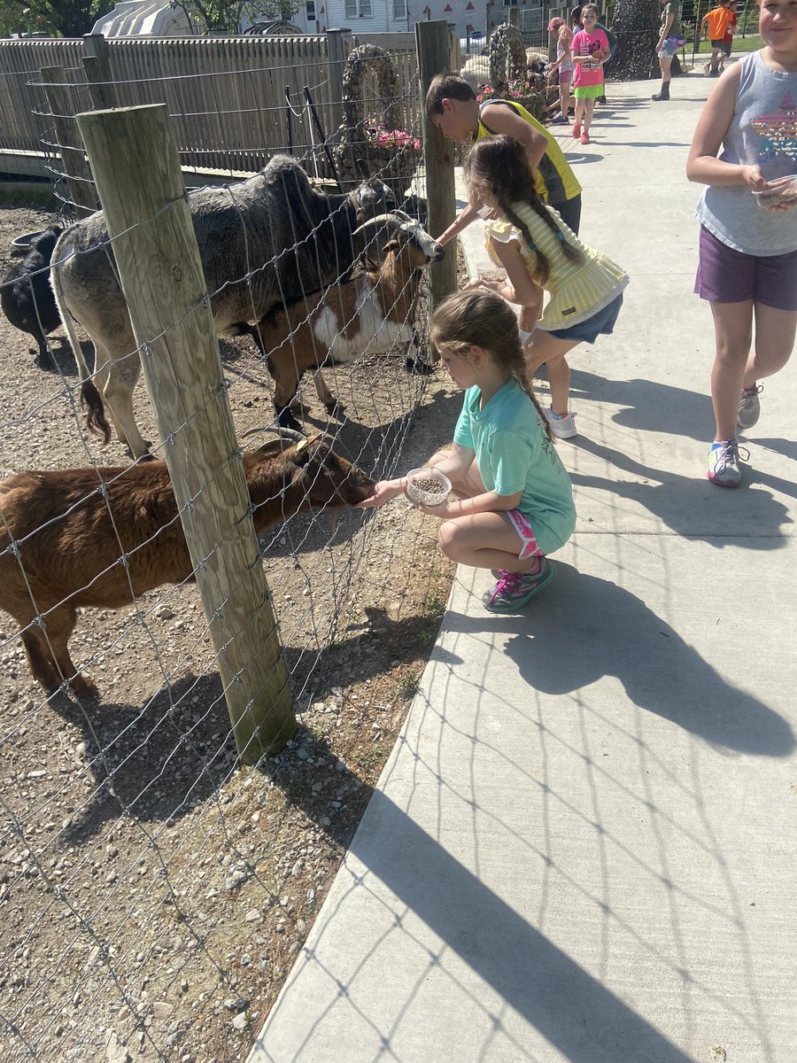 strader268's tweet photo. A few from #AikmanWildlifeAdventure #TitanTrue https://t.co/tNmtFbHCB5