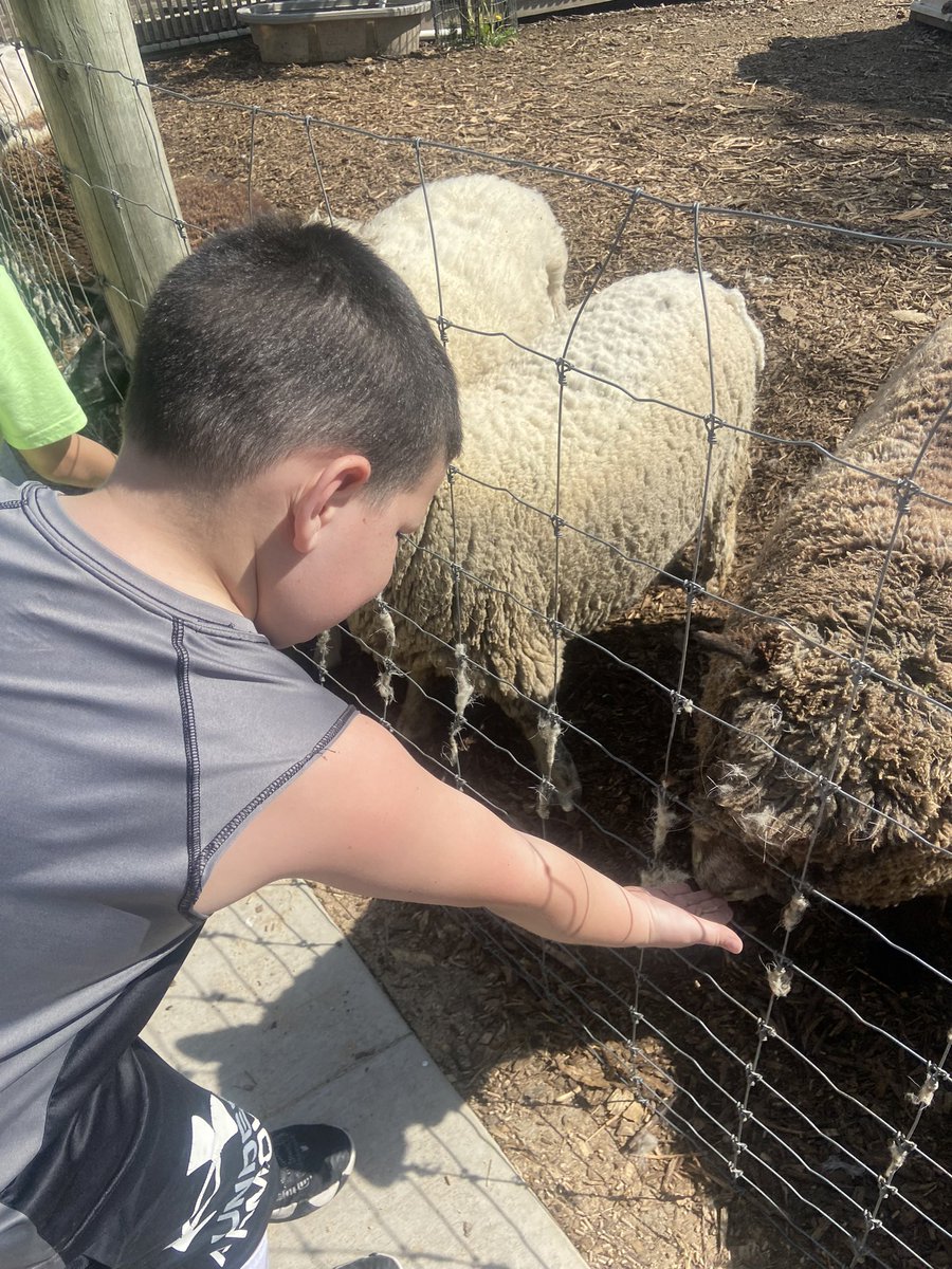 strader268's tweet photo. A few from #AikmanWildlifeAdventure #TitanTrue https://t.co/tNmtFbHCB5