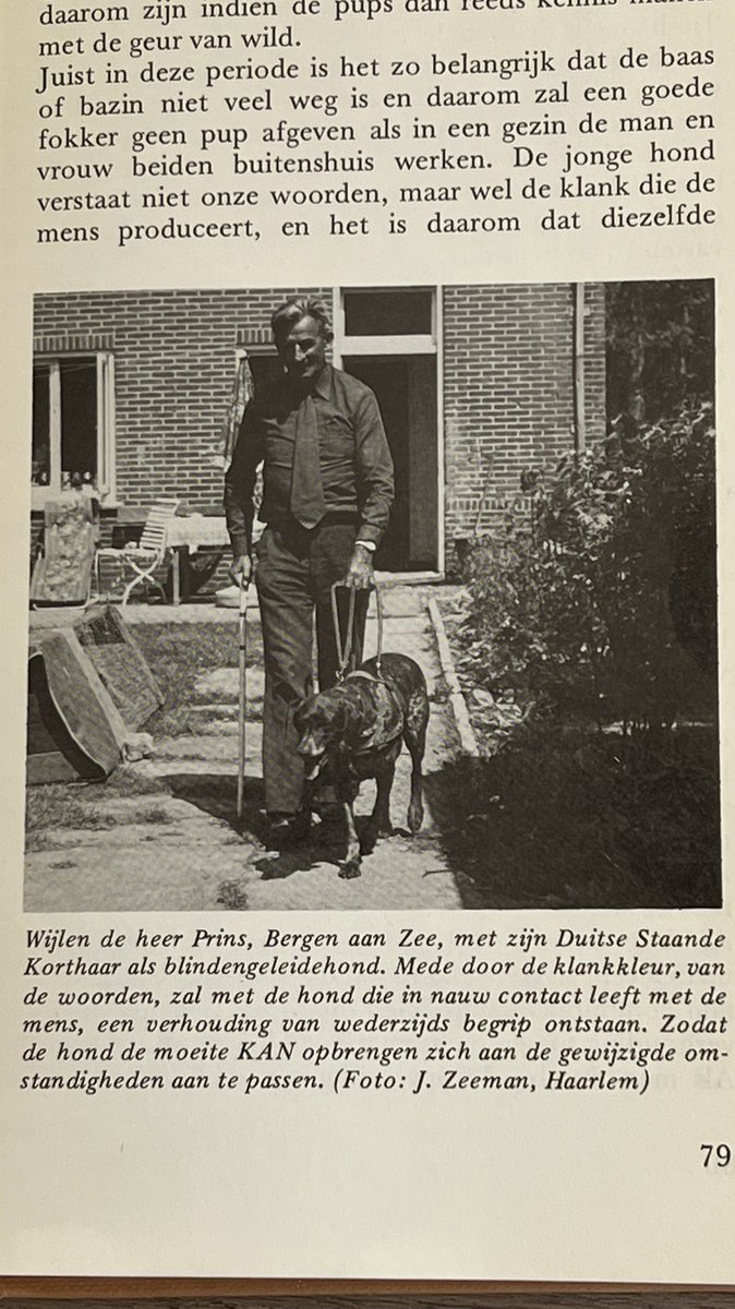 Voor je archief <a href="/KeesTingeling/">Kees Tinga</a> , uit boekje van C.B Bouwman (mijn oude tekenleraar) “De Duitse Staande Jachthonden”