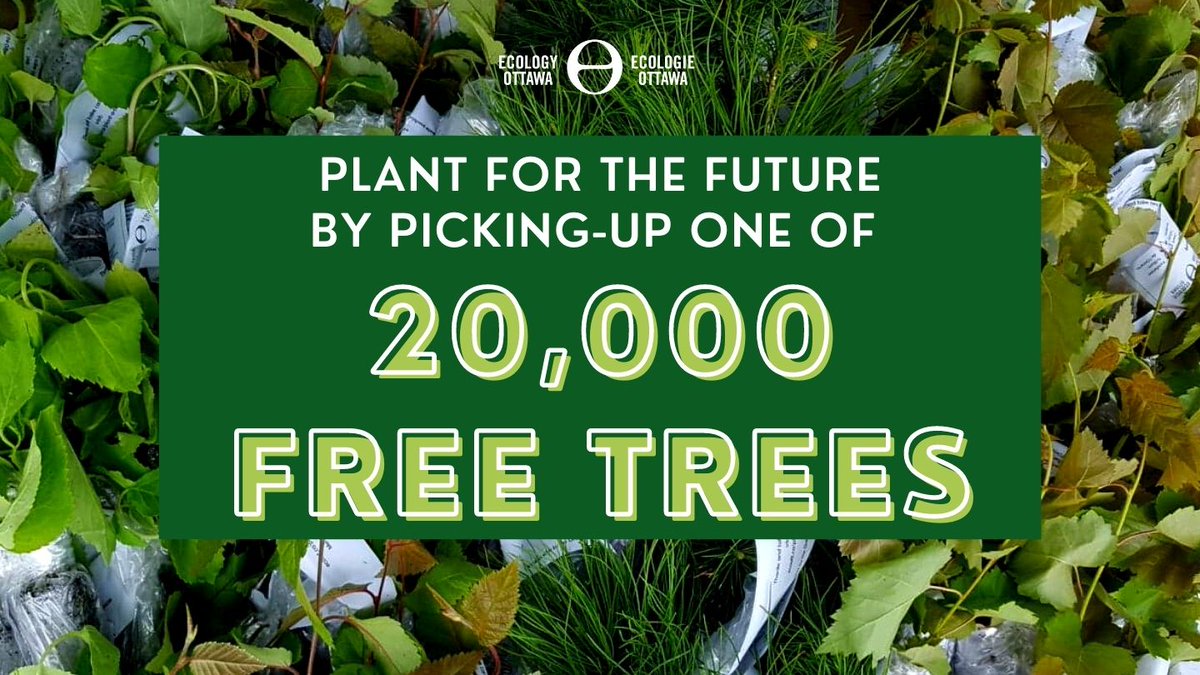 northgowercomm1's tweet photo. Plant for the future by getting a free local tree from @EcologyOttawa at Kars RA on Sunday May 15 from 9 to 12
Support Rideau Action Group as well!
We're having a bake sale with lots of delicious treats!
#EOTreeGiveaway https://t.co/9F1Qw4fo1n