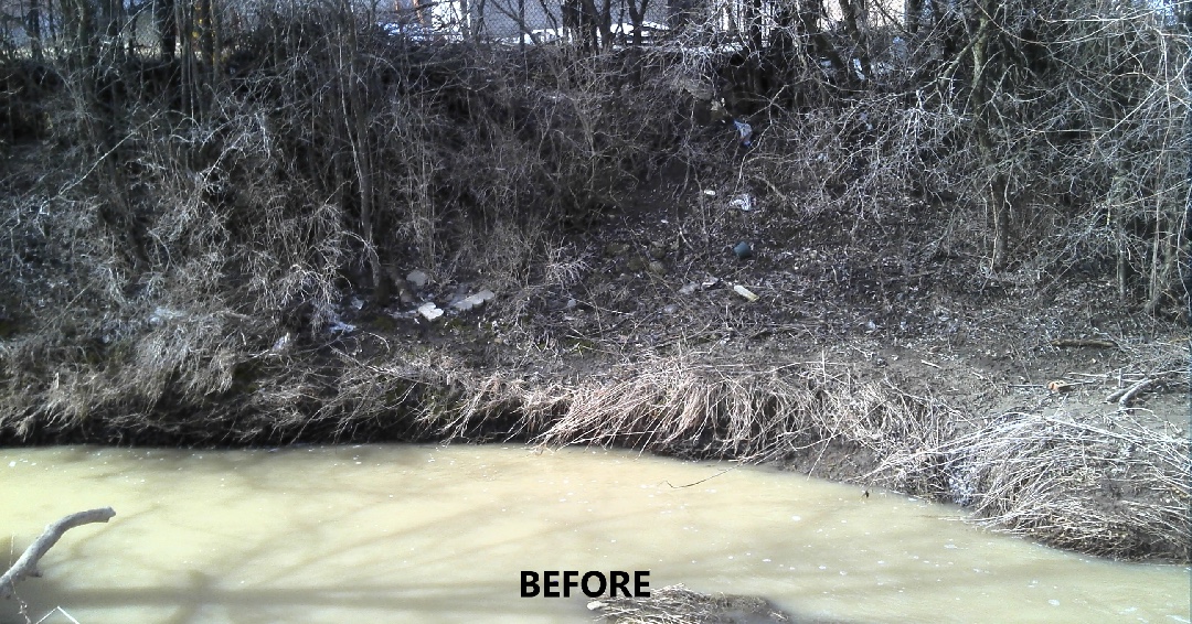 TRCA_HQ's tweet photo. This #FeatureFriday, we are highlighting the Duncan Foster stream restoration project, where TRCA re-aligned 126m of stream and planted 2,000 native trees and shrubs to reduce sedimentation and improve water quality for the endangered #RedsideDace. https://t.co/CjhRo1fvoy