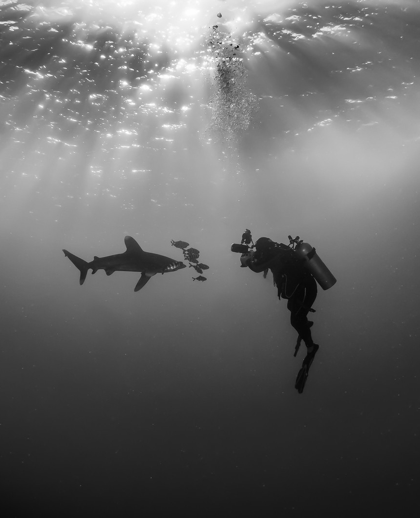 Ikelite's tweet photo. T-minus one day until @TheScubaShow 2022. We hope to see you there! 
Where: Long Beach Convention Center
When: Saturday &amp; Sunday May 14-15, 2022.

#scubashow2022 #scubashow #longbeach #conventioncenter #ikeliteunderwatersystems #ikelite https://t.co/3QNZ8QnCtL