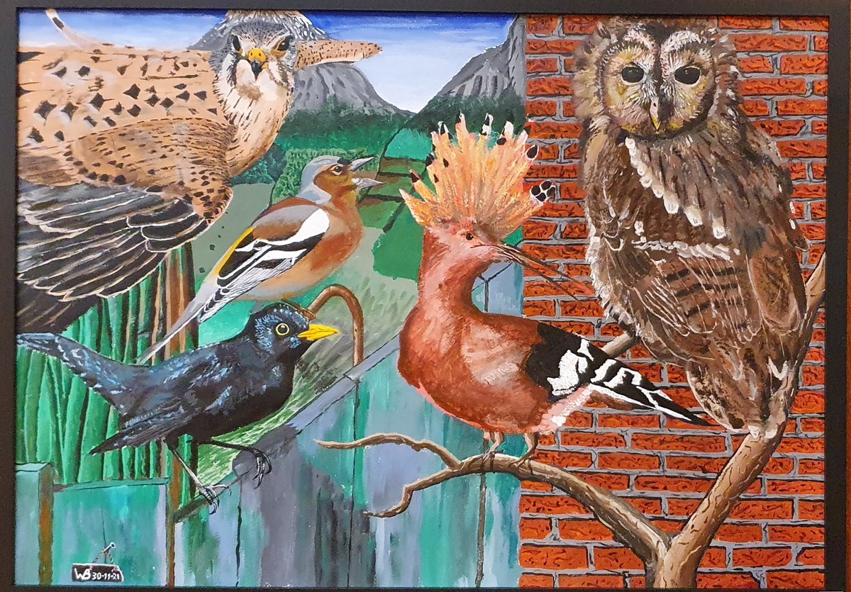 DA_Velsen's tweet photo. Vogelpracht een schilderij van Willem B. Een expositie in de bibliotheek IJmuiden hangt dit schilderij. Het is te koop voor de hoogste bieder. De opbrengst gaat geheel naar de St. Dierenambulance Velsen 
Willem fantastisch, bieden kan nog voor 1juni op de lijst bij het schilderij https://t.co/3m13Y6p612