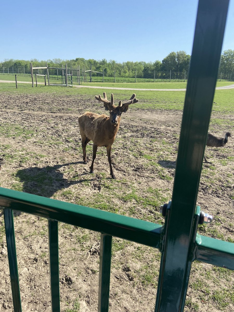 strader268's tweet photo. #TitanTtue #AikmanWildlifeAdventure https://t.co/PsnGdJStrn