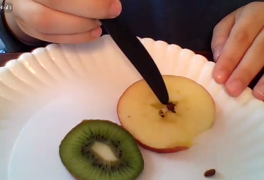 CCSMsJacobs's tweet photo. I am most proud of all of the wonderful learning we do here at Compass, at school and at home! Hands on learning is so important, even through Zoom! Here we are looking for seeds!
@CompassCS
, #ChooseCompass, #CompassExperience,#CharterSchoolsWeek https://t.co/AMGnd5G9IZ