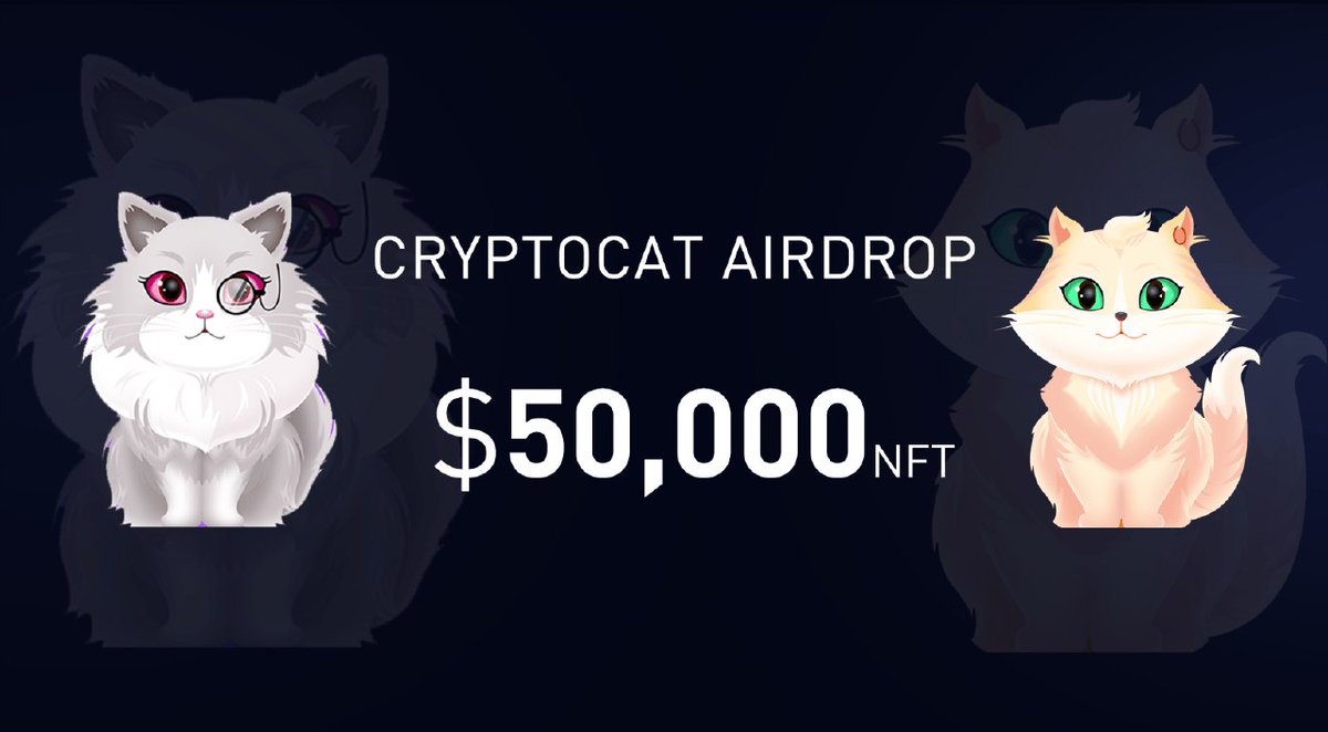 airdropblogs's tweet photo. #Airdrop: Cryptoer Airdrop 
Prize Pool: $50,000 in CryptoCat NFT
Winners: 100 Random Lucky users

Airdrop Link: https://t.co/Wfut2rIeuq

- Follow @Cryptoerio
- Distribution date: 20 June, 2022 

Website: https://t.co/tBcqjE6Gbq https://t.co/8h6Pmmj2A6