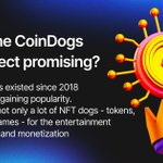 Photo by CoinDogs (@CoinDogs)