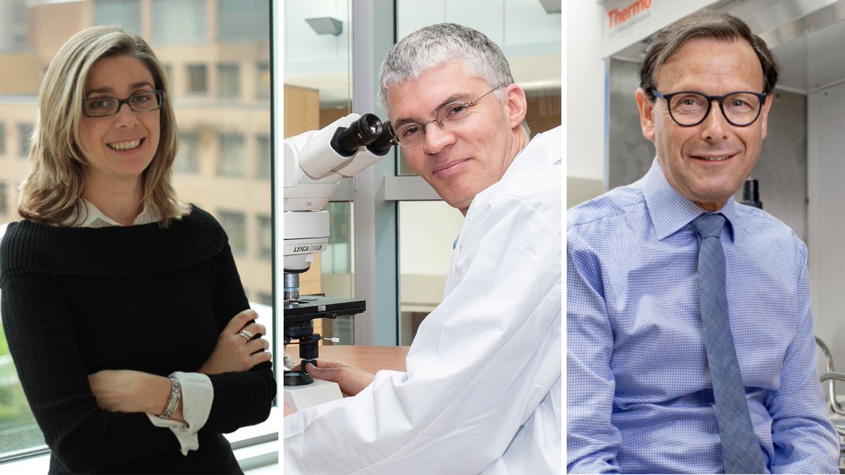 StemCellNetwork's tweet photo. Meet SCN's Horizon Award winners! Valued at $3 million per award, they are the largest award SCN has offered in the past decade and focus on conducting #innovative research and developing transformative technology solutions. #stemcells #regenmed https://t.co/ov3KEfPwc7 https://t.co/JBtHcIn2gO