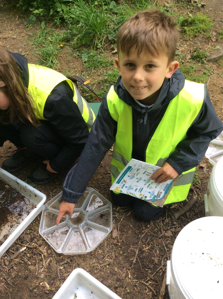 FirstHexham's tweet photo. Amazing science in action on the Year 4 river kick sampling trip. We found a vast range of invertibrates  and the children loved helping to monitor the water quality. Thank you to Simone from @TyneRiversTrust for her expert knowledge. https://t.co/FvZ4bno7d6