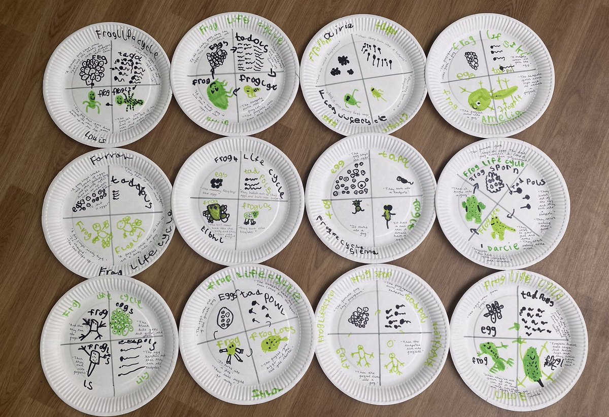 We have enjoyed learning about the life-cycle of a frog this week! <a href="/BottesfordIS/">Bottesford Infants</a> 🐸