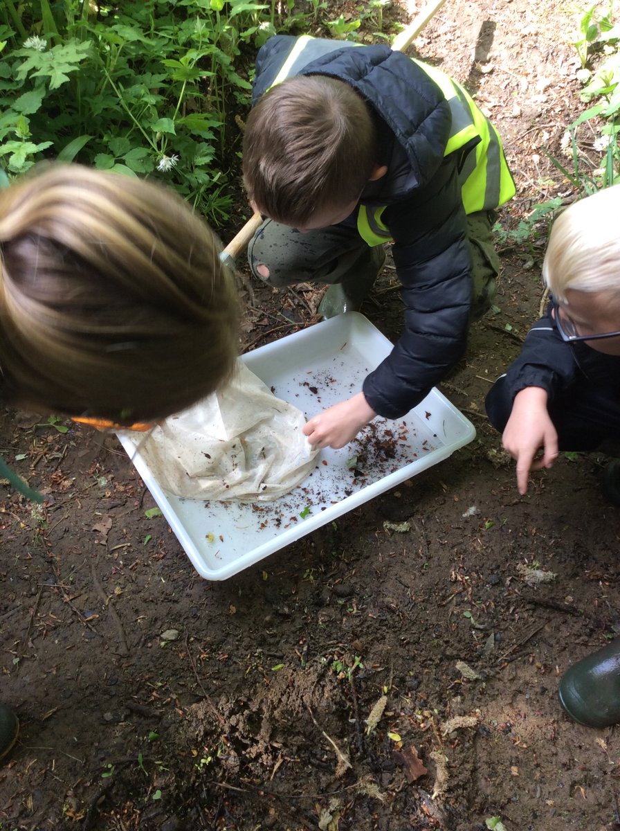 FirstHexham's tweet photo. Amazing science in action on the Year 4 river kick sampling trip. We found a vast range of invertibrates  and the children loved helping to monitor the water quality. Thank you to Simone from @TyneRiversTrust for her expert knowledge. https://t.co/FvZ4bno7d6