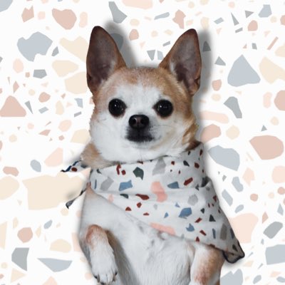 lilteddyconrad's tweet photo. #NewProfilePic https://t.co/WwK4CkorxZ