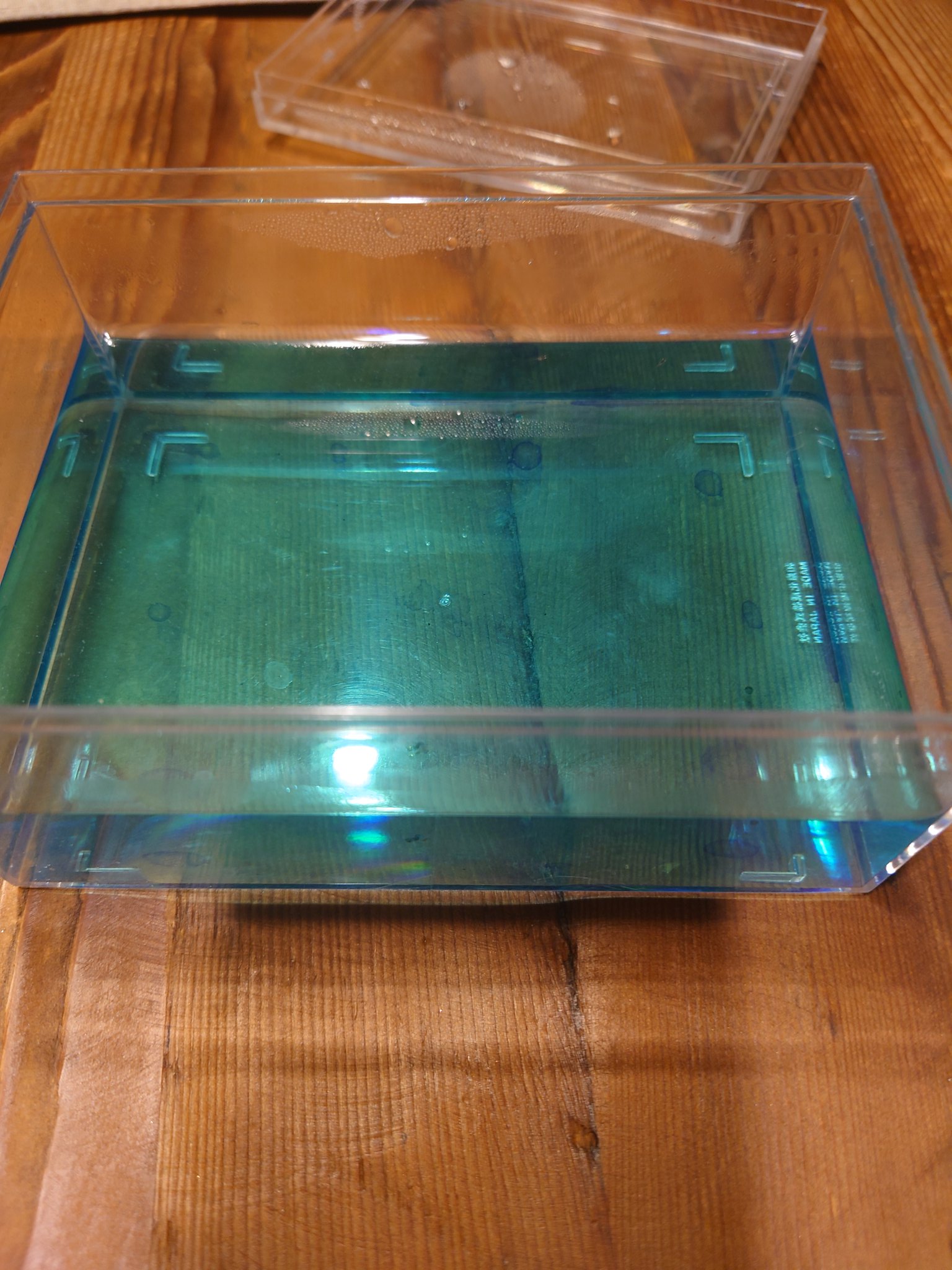 しんざん 画像じゃ写らないけど メチレンブルーの中で針子が産まれてしまった 明日グリーンウォーターに移す予定だったのに 1 このまま飼育 2 グリーンウォーターを徐々に足す 3 大胆に足す 明日の予定 2で小さいミジンコも一緒に投入 教えてめだかの