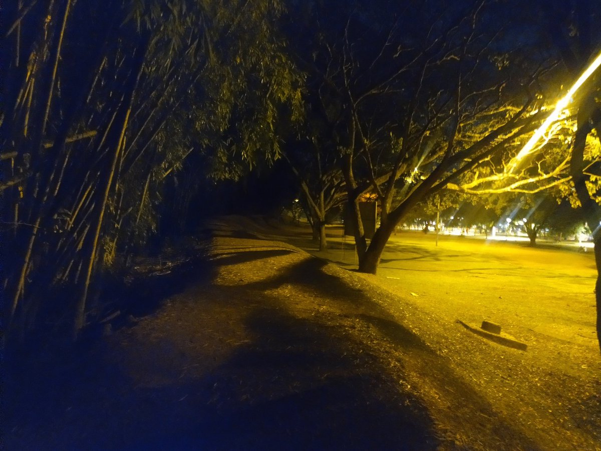 Dogging Cali (encuentros públicos) tweet media