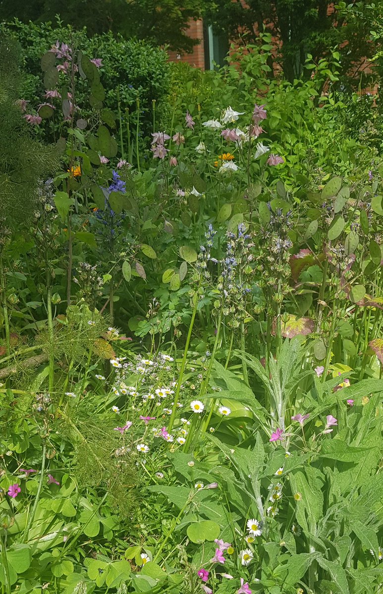 barbmilne's tweet photo. The outlook's sunny @theBluecoat #Liverpool this afternoon; an oasis of calm. This #UrbanGarden channels #RuralTranquility https://t.co/LqizxrNQcD