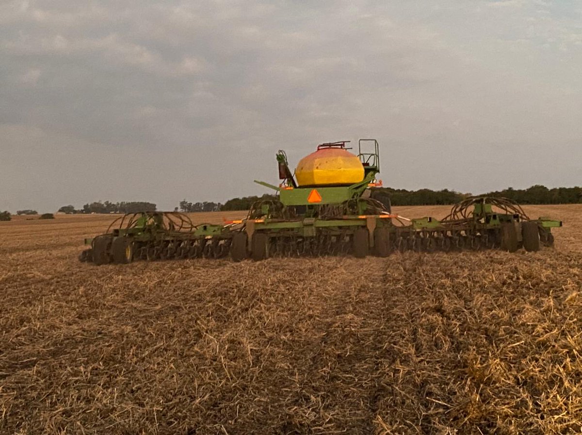 Miguel Bell tweet media