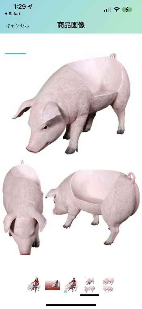 え?豚の椅子ってこんなの??12万…🤣 え?豚の椅子ってこんなの??12万…🤣