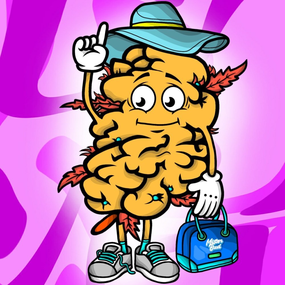 ApeGendaNFT's tweet photo. 🍀Weed🦧Apes 🐻Bears 
Colab NFT Giveaway 

1x @BakedAper 
1x @FruityBearsNFT
1x  @PotPrincessNFT 
1x @MisterBudNfts 

Winner in 48 hours  

Rules =
1⃣ Follow all projects👆
2⃣ RT &amp; ♥️
3⃣ Tag 4 Frendz
** bonus entry for every tag after 4 

#NFTGiveaways #freemint #freenft #nfts https://t.co/m8oCpWNwPQ