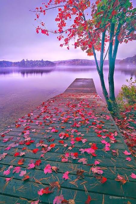 Haider4796's tweet photo. Sometimes nature is all you need. So don't forget to enjoy some level of nature today. https://t.co/OIQ29gG75w