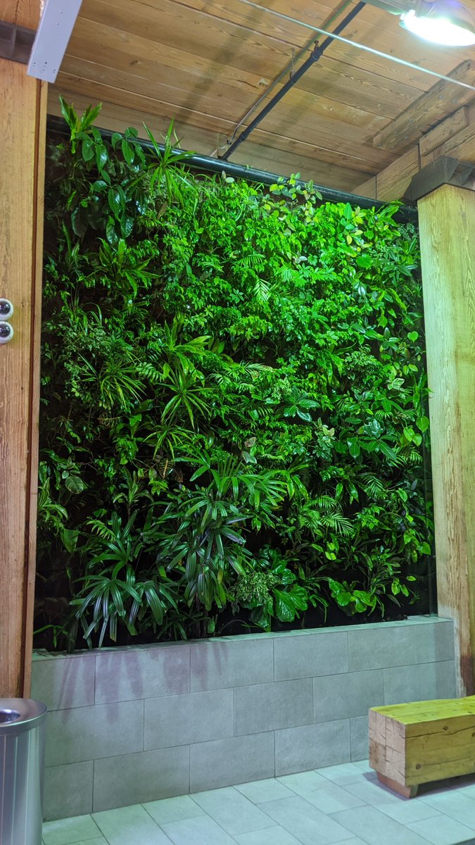 A #NedlawLivingWalls Project: Robertson Building
Toronto, ON
The Robertson Building is a restored warehouse and showroom that is home to a cluster of community businesses, and non-profit organizations and home to one of the first living wall biofilters we installed.