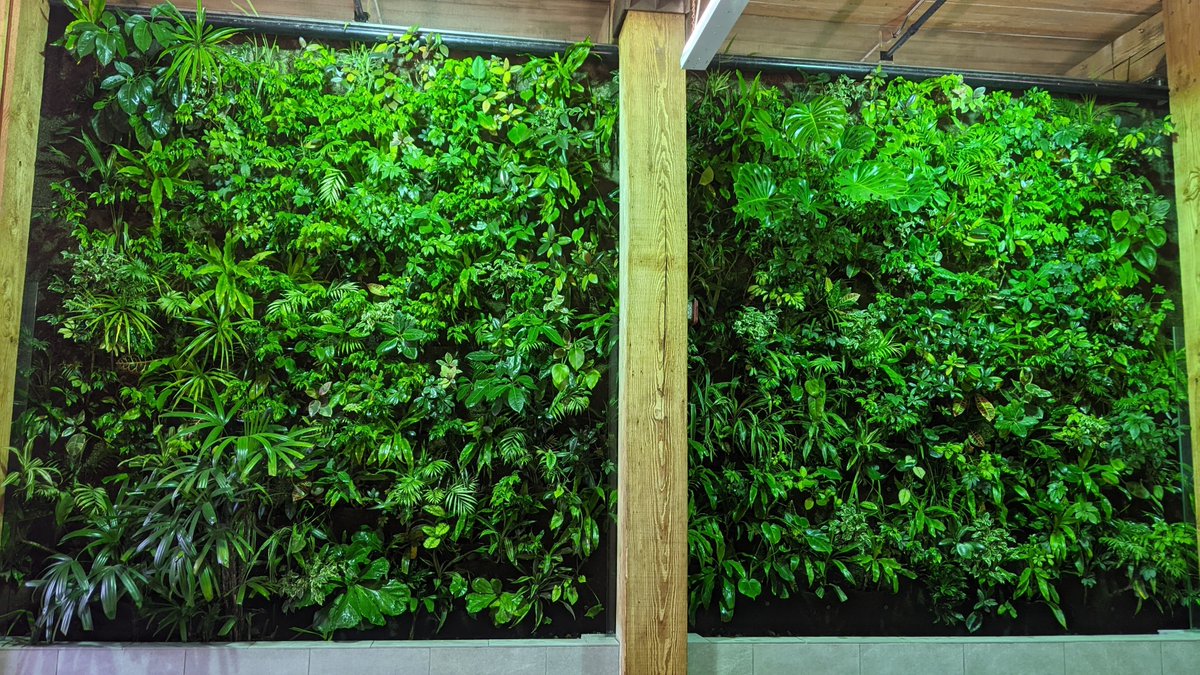 Nedlaw Group tweet media