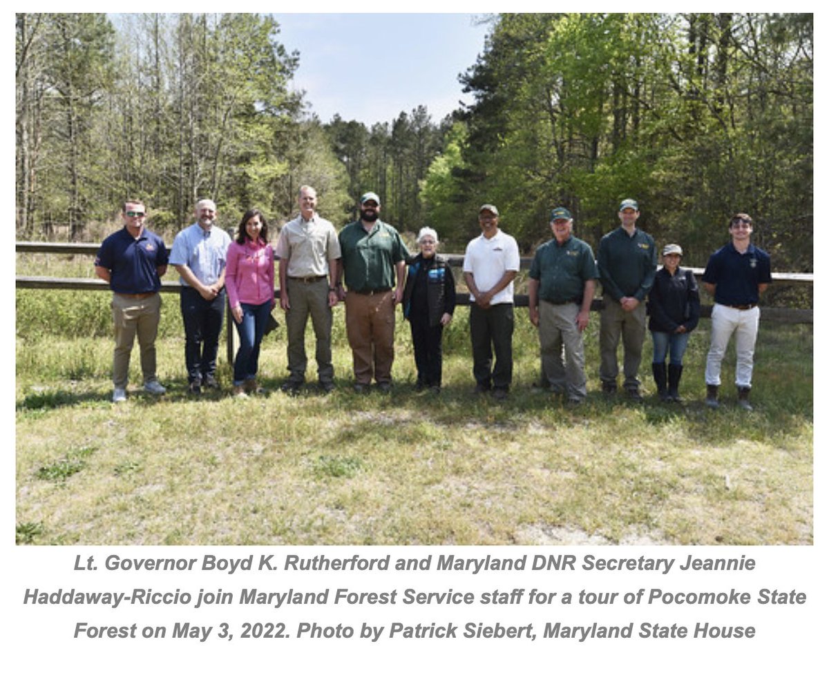 sfiprogram's tweet photo. Congratulations to @MarylandDNR for earning sustainable forest management certification for 19 consecutive years in Maryland's state forests. Proud to have you part of the #SFInetwork!
#BetterChoicesForThePlanet #GrowingSolutions #SFIstandards

https://t.co/we3UZCLtax https://t.co/bXhNY8gFEm