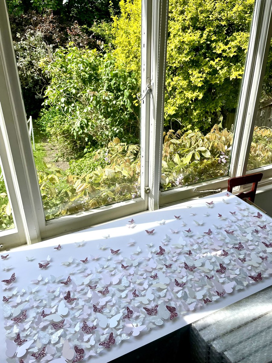 Cissy Cook tweet media