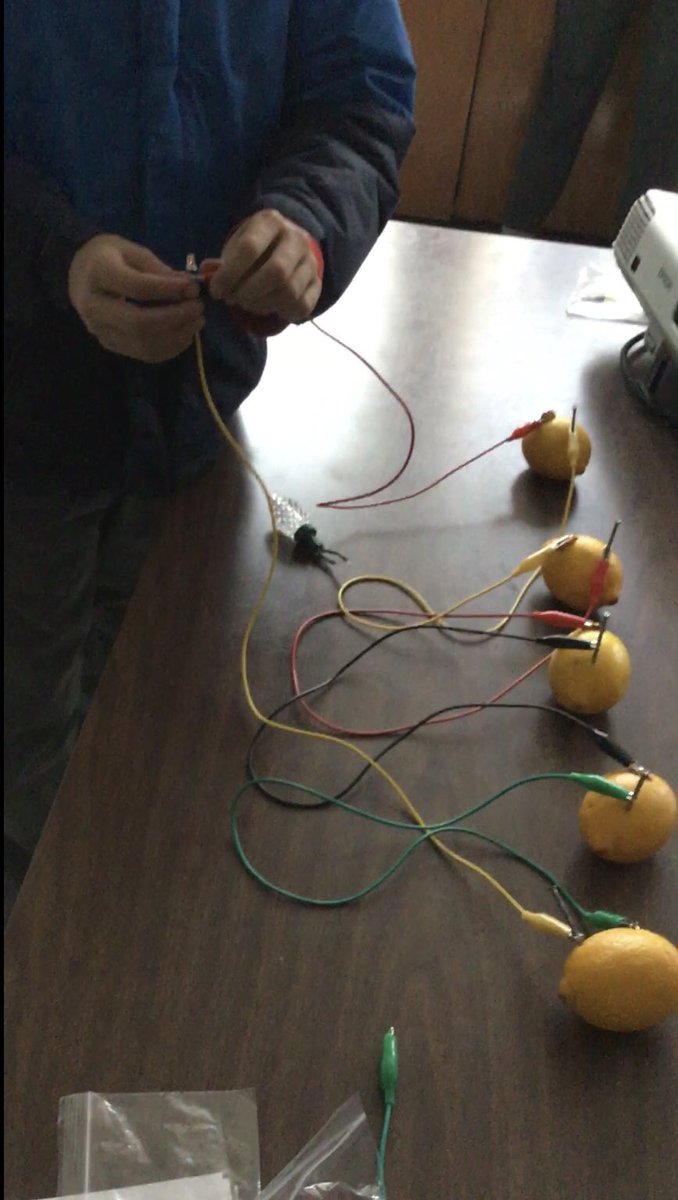 MsCherutti's tweet photo. After creating simple, series and parallel circuits in science, we created a circuit using lemons!! It was so neat to see our LED lights light up with lemons, pennies and nails replacing the power source of a battery! https://t.co/7AkC8XRnTi