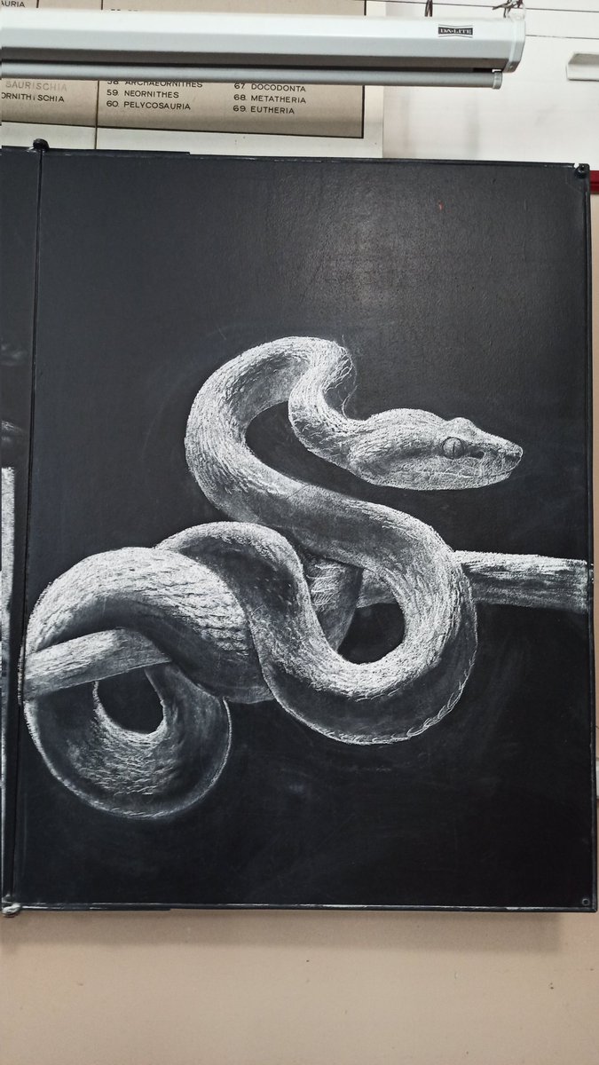 binary sunrise (@clarascintilla) on Twitter photo 