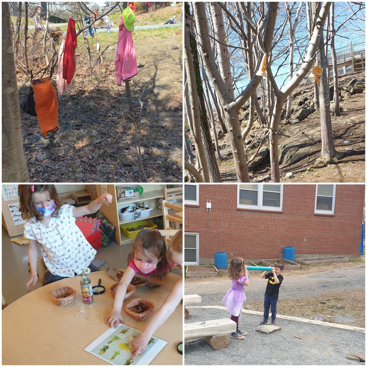 lamia_elgindy's tweet photo. Happy 😊 Friday @SpringvaleElem @HRCE_NS 
Perfect day for a hike 🚶‍♂️!#wellbeing 
Pool noodles r great loose parts! #discoveryinvention 
Bird feeders r ready on the tree 🌳! #personalsocialresponsibilty 
Life cycle of Dandelion flower 🌼!
#languagecommunication https://t.co/UxGuvx1jAJ