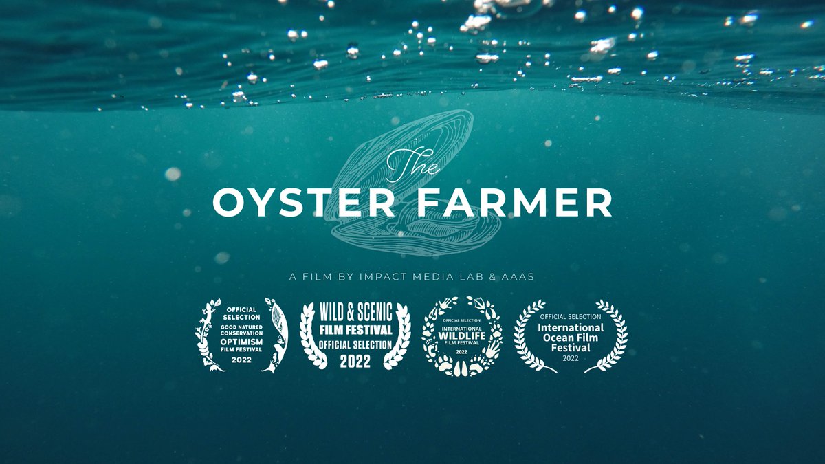 Amazing news! #TheOysterFarmer was just selected by Good Natured, a short film festival by @ConservOptimism. Watch the trailer here: vimeo.com/653004751 This film was created w @AAAS as part of #HowWeRespond - learn more at howwerespond.aaas.org #scicomm #ClimateAction