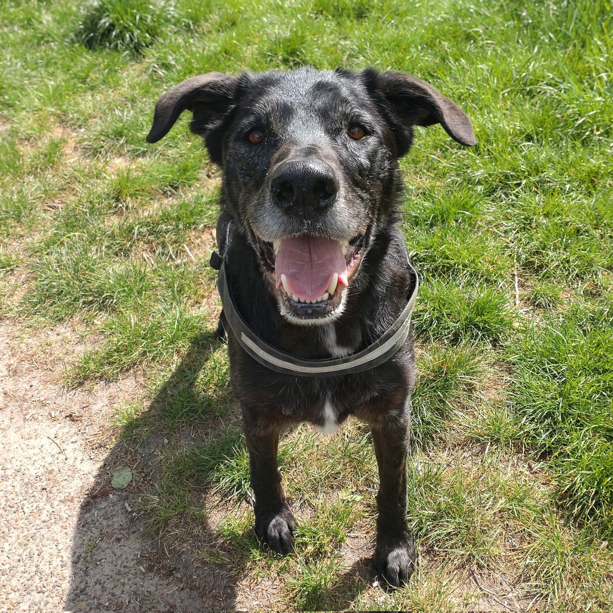 #NieuweProfielfoto ❤️