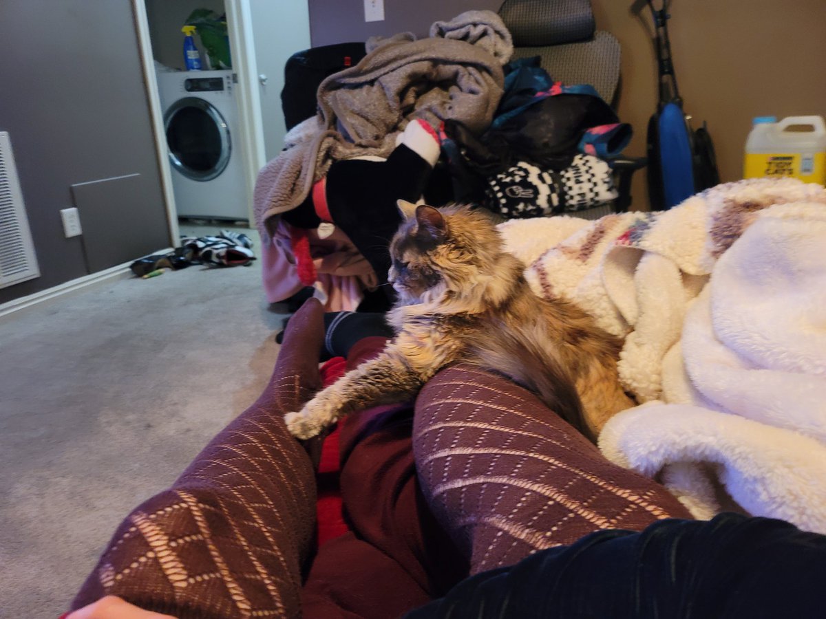 PureKitta tweet picture