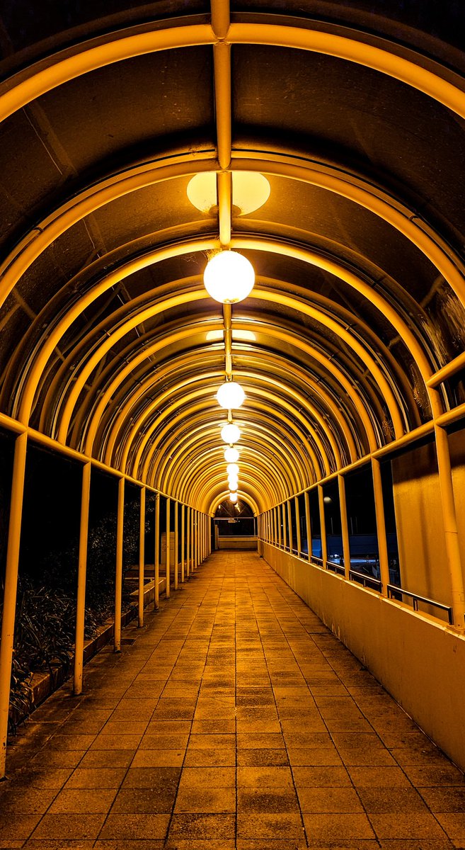 Navimumbaikar46's tweet photo. Hello city, 
your lights are fireflies in my heart📸🖤

#Elizabethquaybusstation
#perthcity #NightPhotography #nightlife https://t.co/gucxhCMVWX