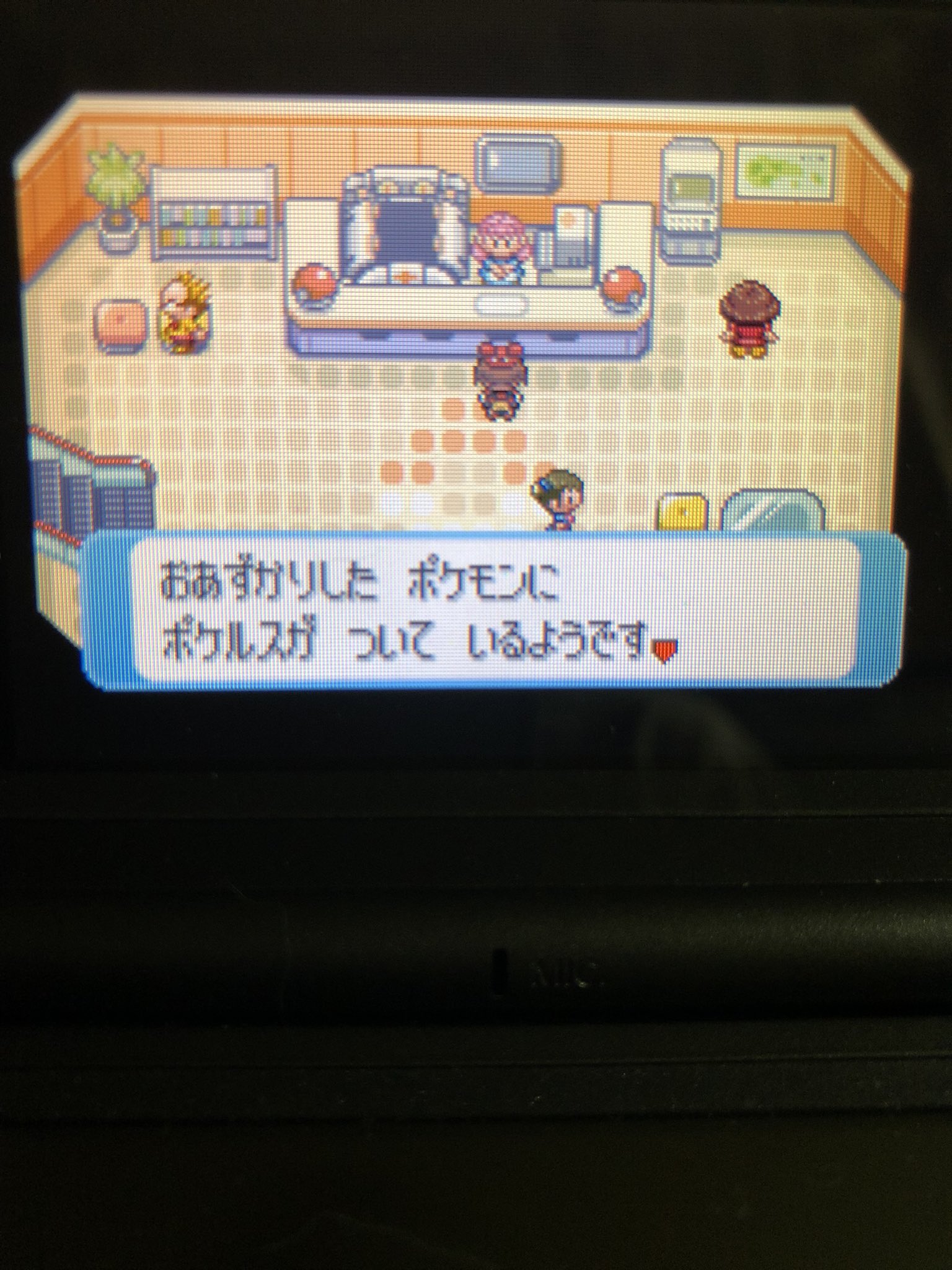 ネコ チャン Mush36room Twitter